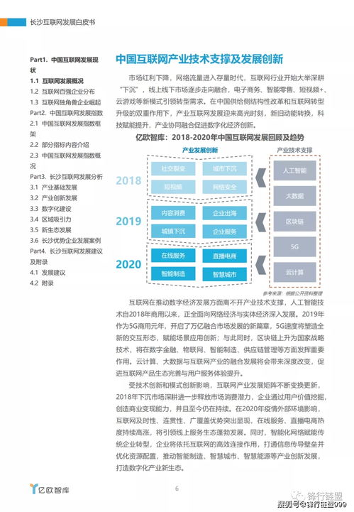 2020长沙互联网发展白皮书 软件开发产业的崛起与展望