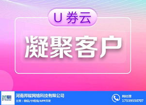 长沙淘客系统 本地化软件开发的机遇与挑战